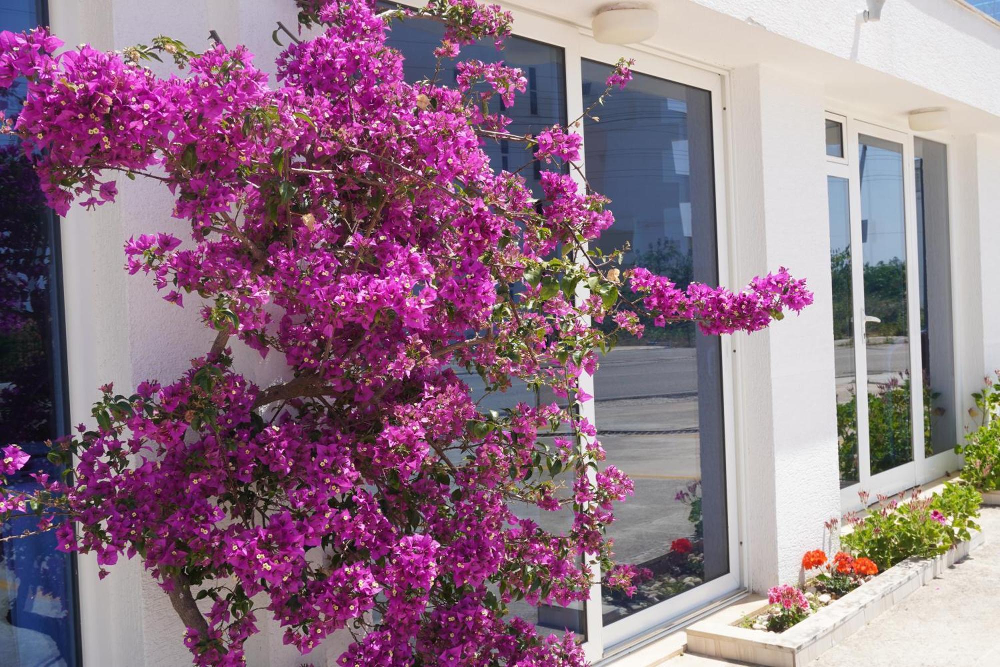 Hotel Agel Saranda Dış mekan fotoğraf